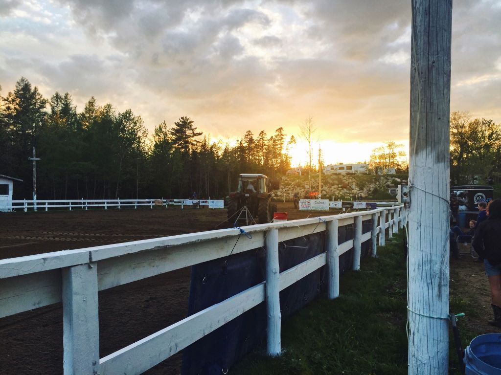 Ce que j&rsquo;ai appris en montant western et classique dans ma&nbsp;jeunesse