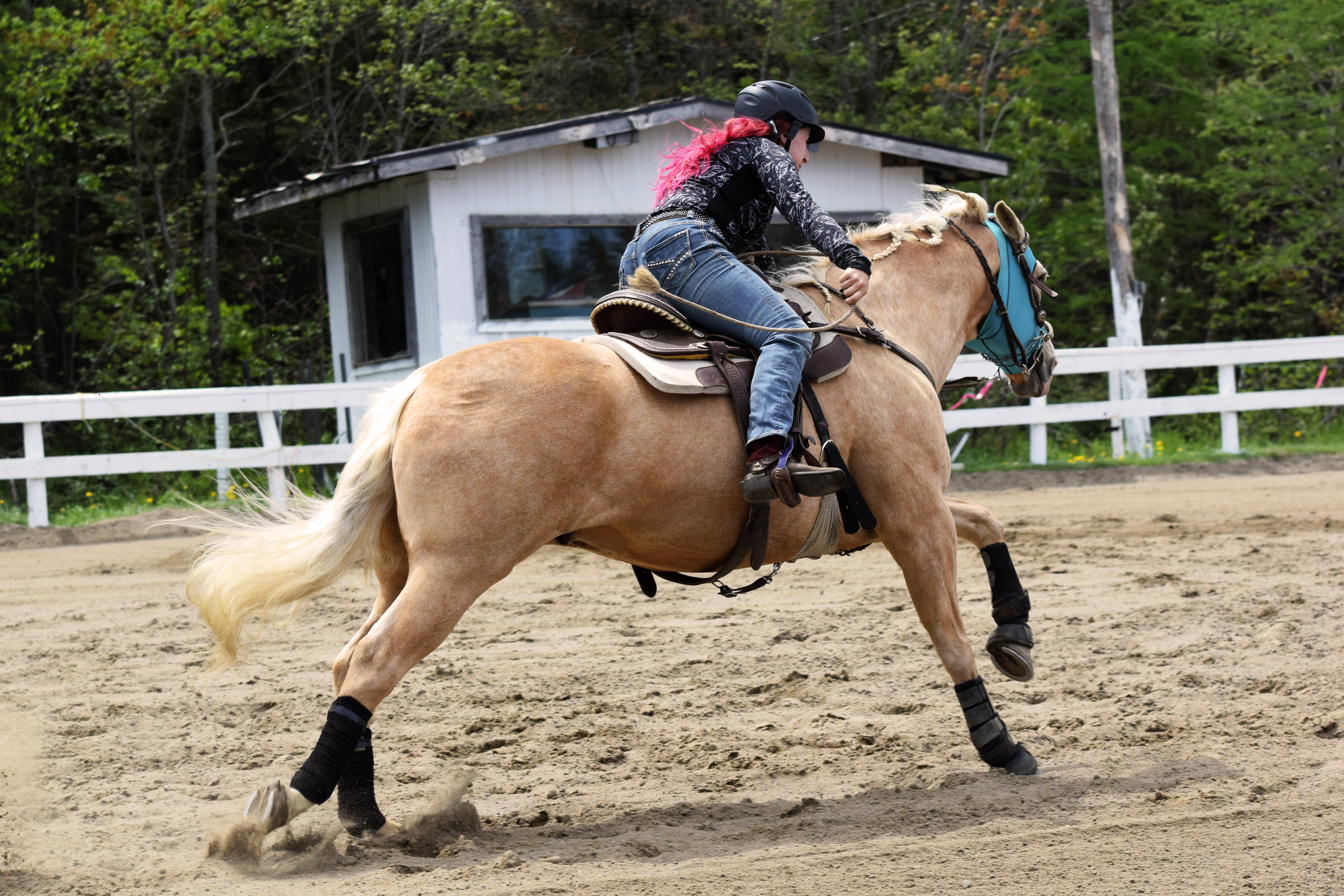 La forme physique (et mentale) pour le cavalier de compétition