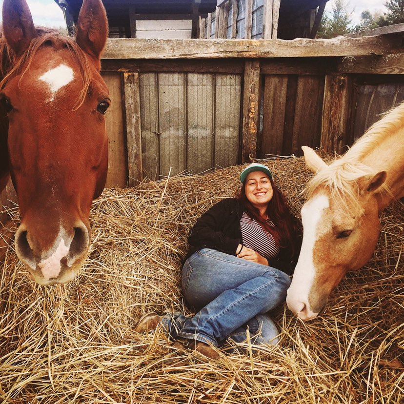 L&rsquo;importance de l&rsquo;apprentissage continuel dans le domaine équestre