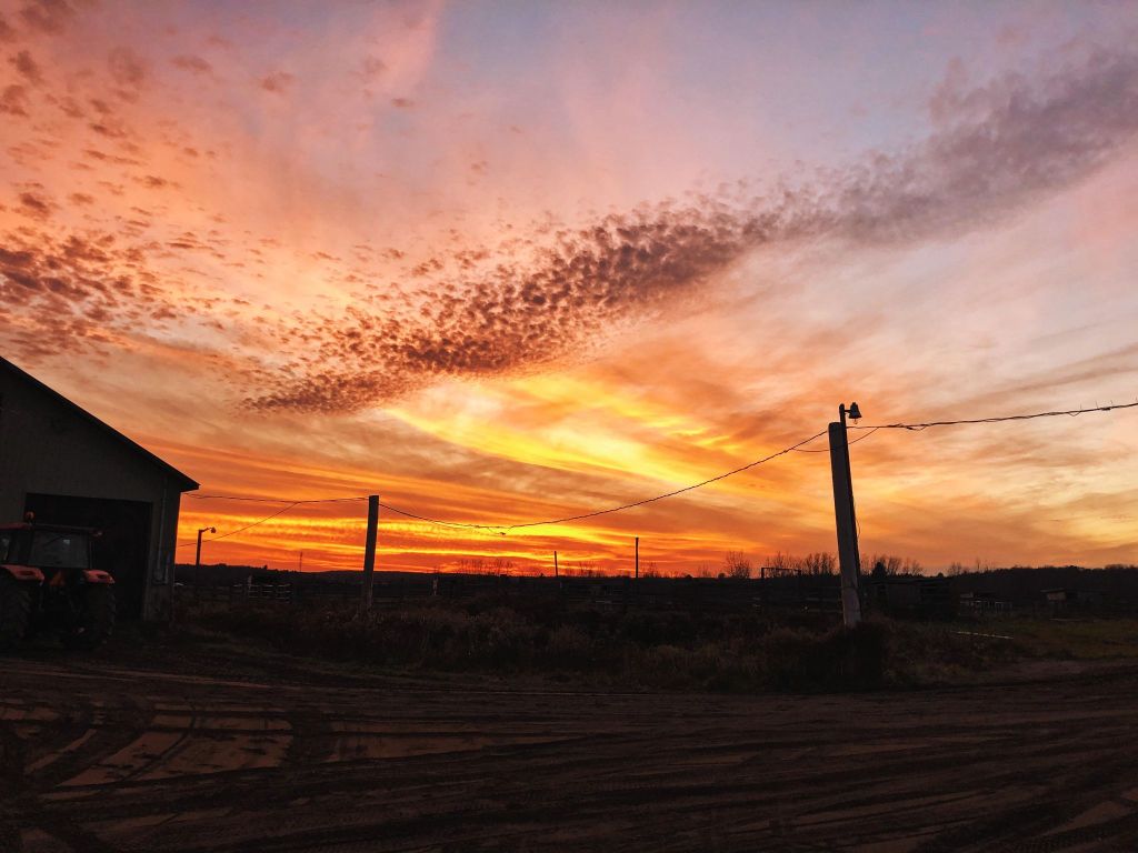 L&rsquo;importance du respect du droit d&rsquo;auteur de nos photographes&nbsp;équins
