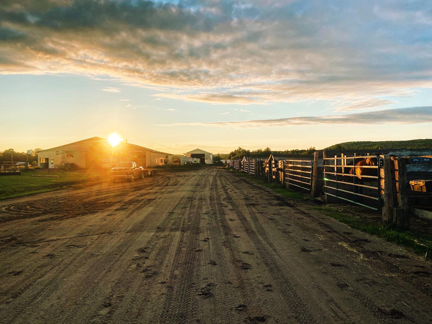 Mes conseils pour la relève