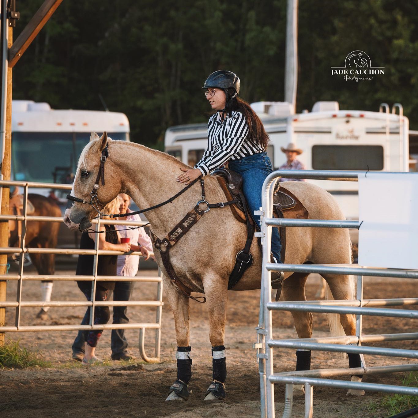 Le bien-être du cheval en compétition